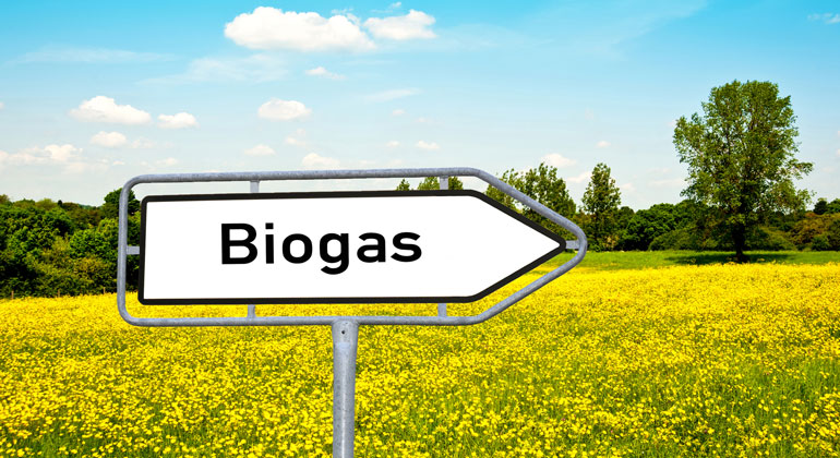 Biogas statt Erdgaskraftwerke: Die Haydauer Erklärung