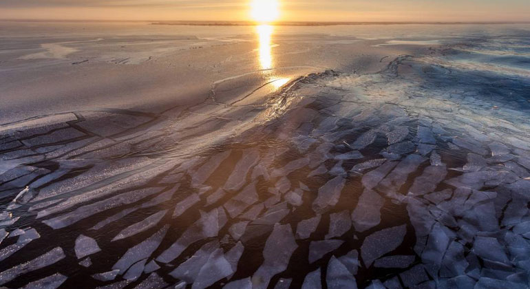 Was wir über marine Hitzewellen in der Arktis wissen