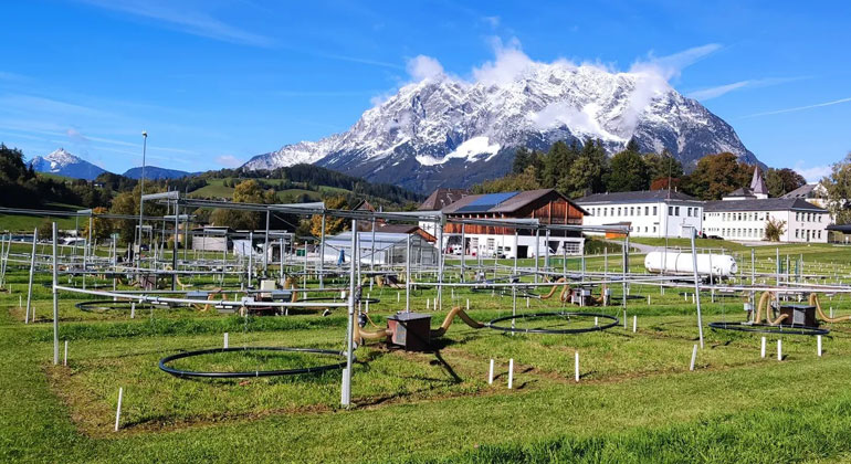 Künf­tiges Klima verstärkt Dürre­ef­fekte auf Grün­land