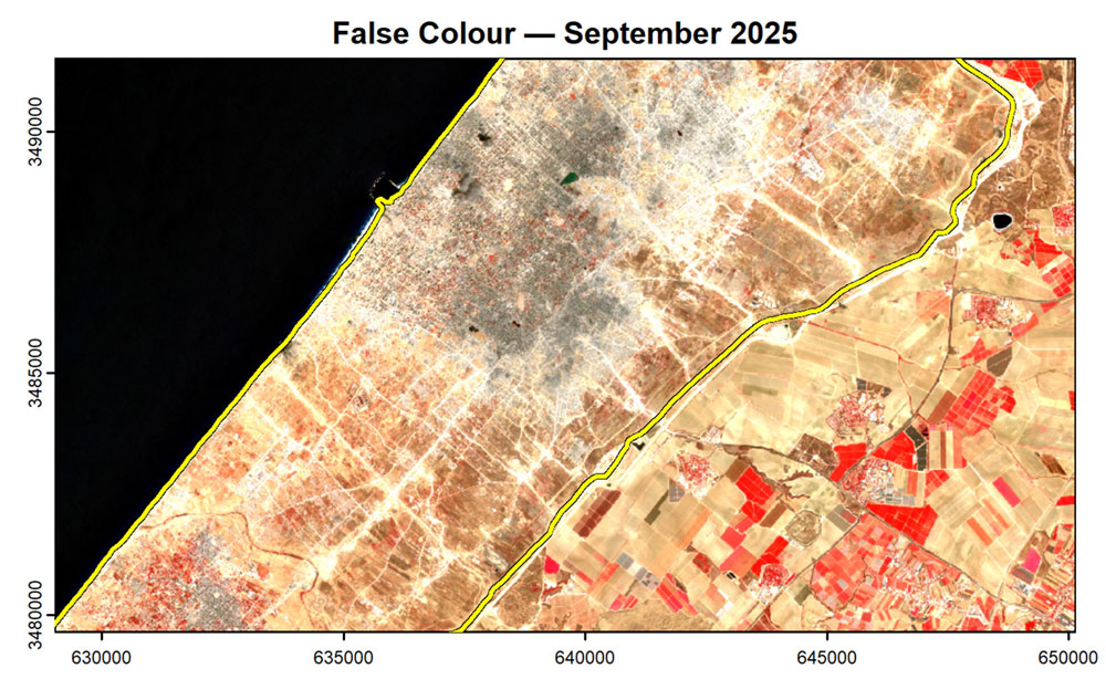 Konflikt in Gaza zerstört auch Vegetation