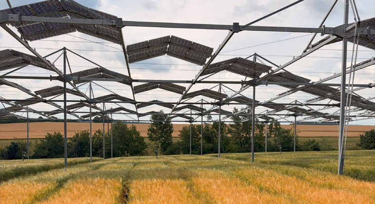 Agri-PV: Ackerpflanzen vertragen Beschattung besser als gedacht