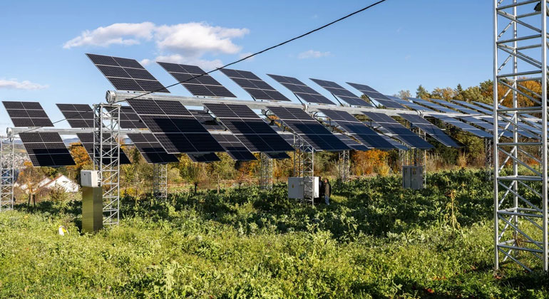 Schweiz: Agri-PV als Klimahilfe für Landwirtschaft – noch mit Hürden